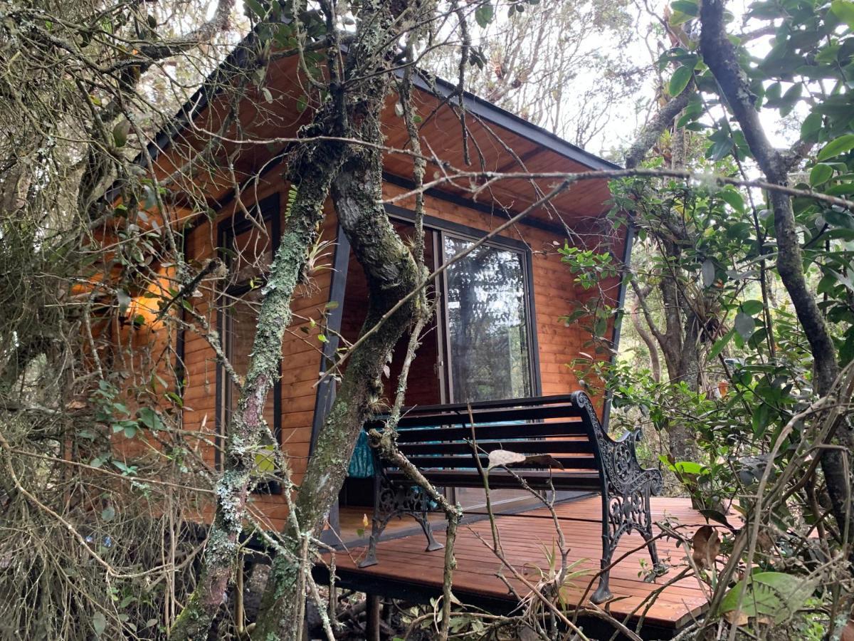 Mirador Bosque Gran Torino Neusa Когуа Экстерьер фото