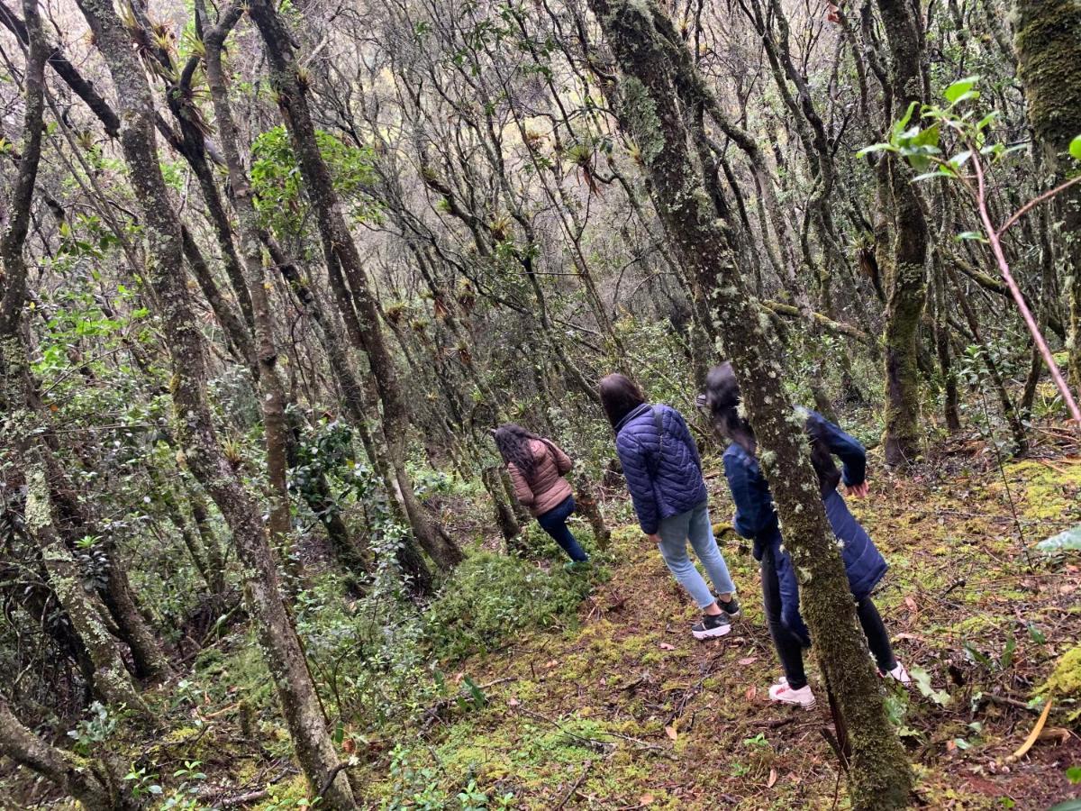 Mirador Bosque Gran Torino Neusa Когуа Экстерьер фото